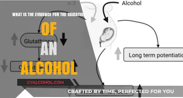 Evidence for Alcohol Oxidation: Chromic Acid Test