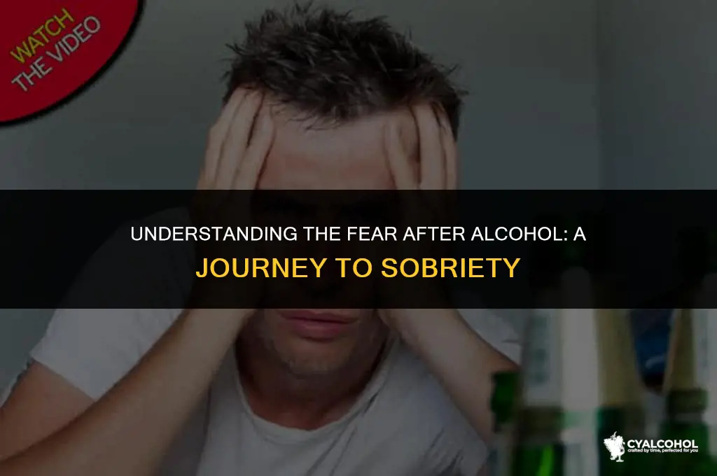 what is the fear after alcohol