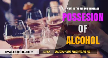 Understanding Underage Alcohol Possession Penalties