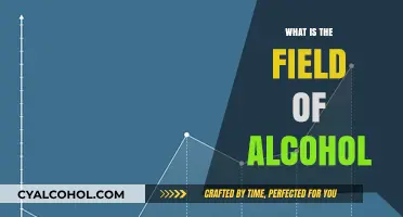 Exploring the Complex Realm of Alcohol: A Comprehensive Guide