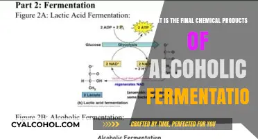 The Magic of Alcoholic Fermentation: Final Chemical Products