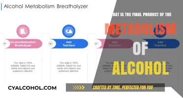Alcohol Metabolism: The Final Product Explained