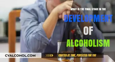 The Darkest Stage of Alcoholism: Understanding the Final Step