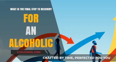 The Last Step: Alcoholism Recovery and Freedom