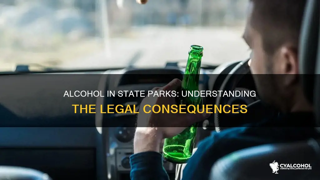 what is the fine for alcohol in a state park