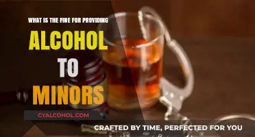 Punishments for Providing Alcohol to Minors