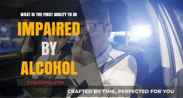 Alcohol's First Target: Impaired Decision-Making Abilities