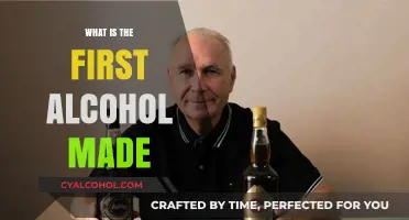 Unveiling the Origins: The World's First Alcoholic Beverage