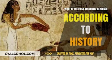 Alcohol's Ancient Origins: The First Drink