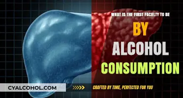 Alcohol's Impact: The Brain's First Casualty