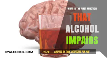 Alcohol's Initial Impact: The First Cognitive Function It Impairs