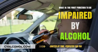 Alcohol's First Target: Impairing Your Judgment