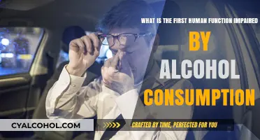 Alcohol's First Target: Impairing Your Brain Function
