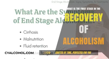 First Step to Alcoholism Recovery: Admitting You Need Help