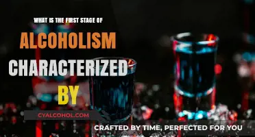 Alcoholism's First Stage: The Early Warning Signs