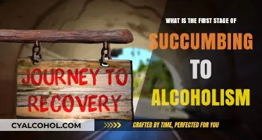 The First Step to Alcoholism: A Slippery Slope