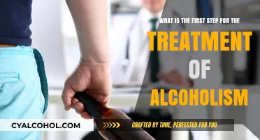 First Step to Alcoholism Treatment: Recognizing the Problem