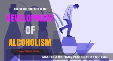 Understanding Alcoholism: The First Step Towards Addiction