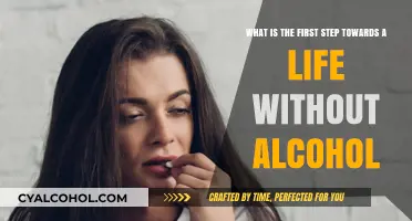 First Step to Sobriety: Embrace a Life without Alcohol