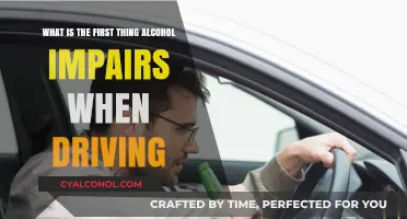 Alcohol's First Target: Your Driving Judgment