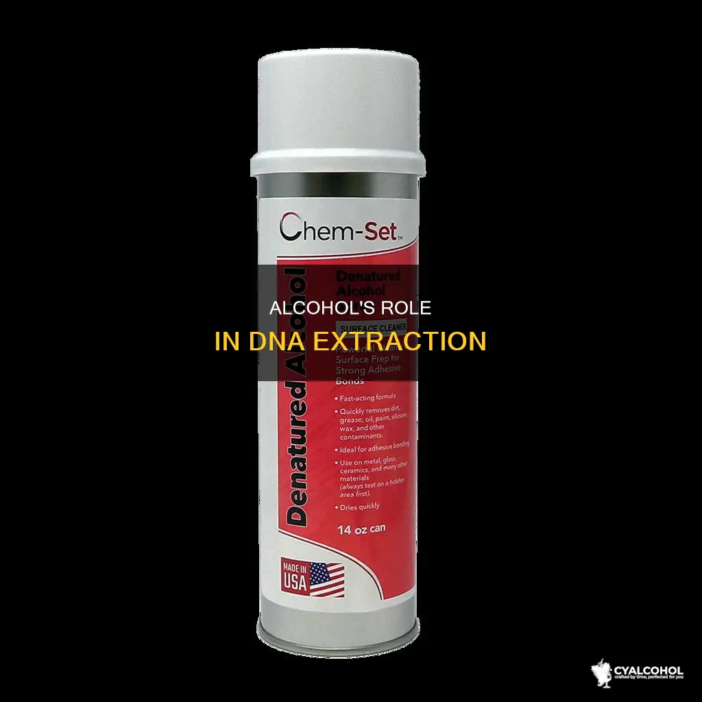 what is the function of alcohol in dna extraction