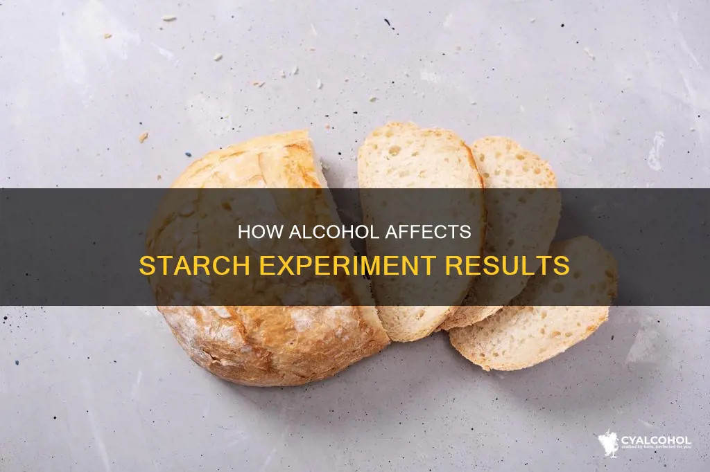 what is the function of alcohol in starch experiment