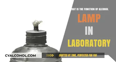 Alcohol Lamps: Their Use and Function in Laboratories