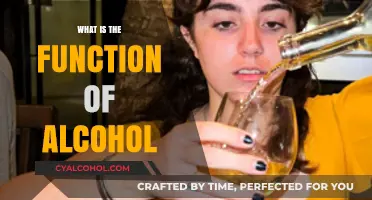 Exploring the Role of Alcohol: A Comprehensive Guide to Its Functions