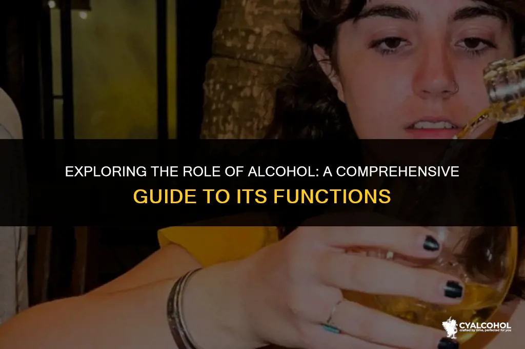 what is the function of alcohol