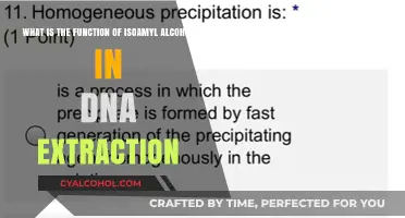 Isoamyl Alcohol's Role in DNA Extraction