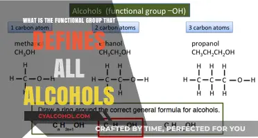 The Defining Feature of Alcohols