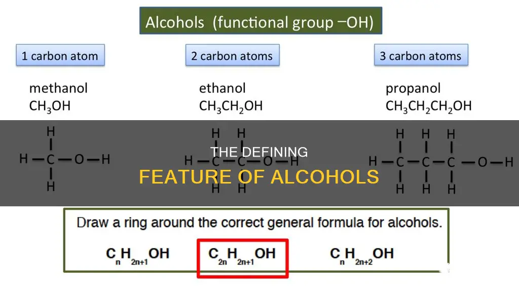 what is the functional group that defines all alcohols