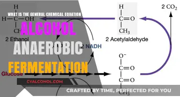 Anaerobic Alcohol Fermentation: The Chemical Equation