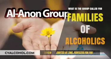Families of Alcoholics: A Support Group for Loved Ones