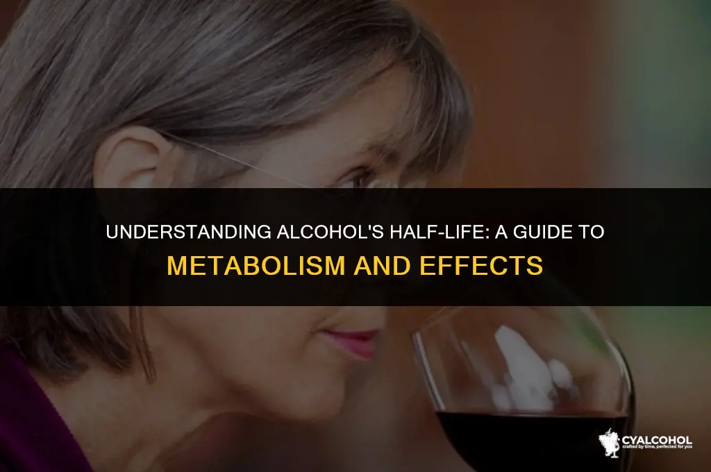 what is the half life alcohol