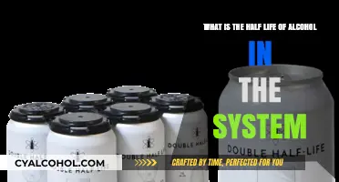 Alcohol Half-Life: How Long Does it Stay in Your System?