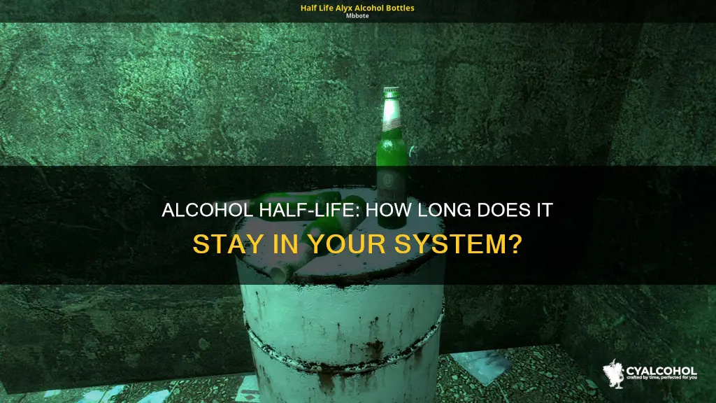what is the half life of alcohol in the system
