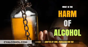 The Hidden Dangers of Alcohol: Unveiling the Harmful Effects