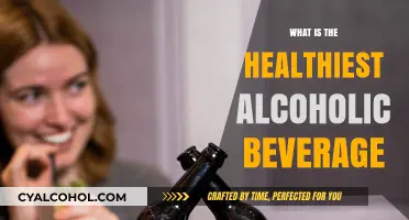 Exploring the Healthiest Alcoholic Beverage Options for Mindful Drinking