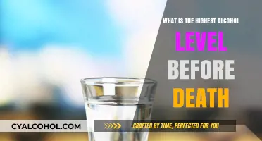 Deadly Limits: Understanding the Highest Alcohol Level Before Fatality