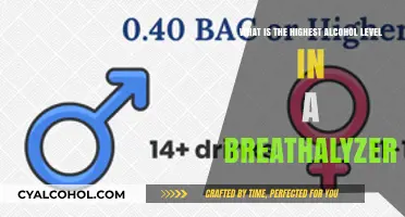 Breathalyzer Test: Highest Alcohol Level Detected