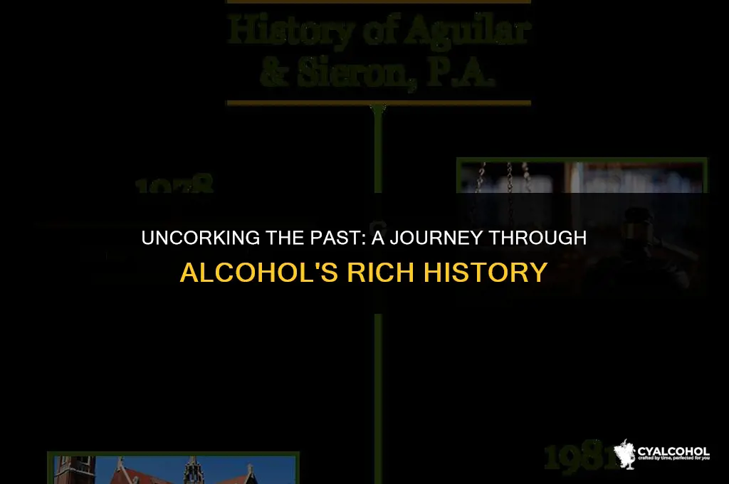 what is the history behind alcohol