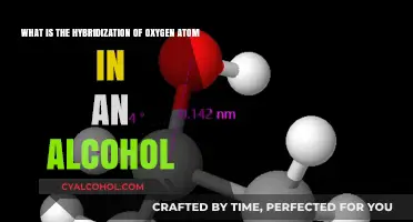 Hybridization of Oxygen in Alcohols: Understanding the Basics