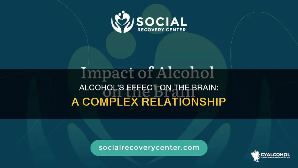 what is the impact of alcohol on the brain