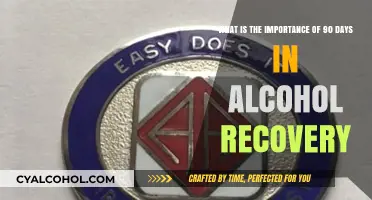 Alcohol Recovery: Why the First 90 Days Matter