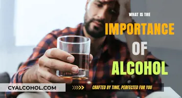 Exploring the Complex Role of Alcohol in Society and Health