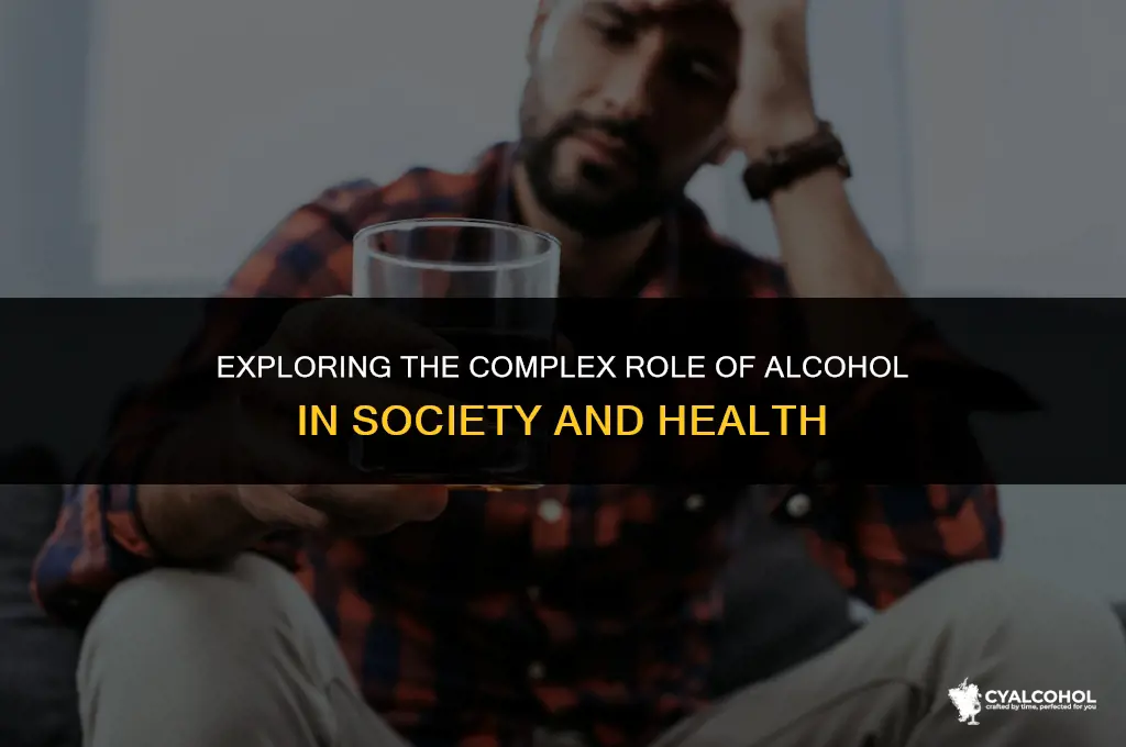 what is the importance of alcohol