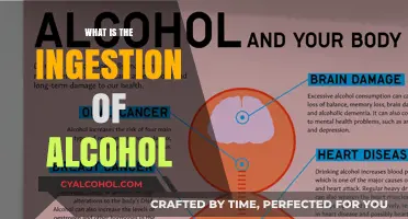 Understanding Alcohol Ingestion: Effects, Risks, and Safe Practices