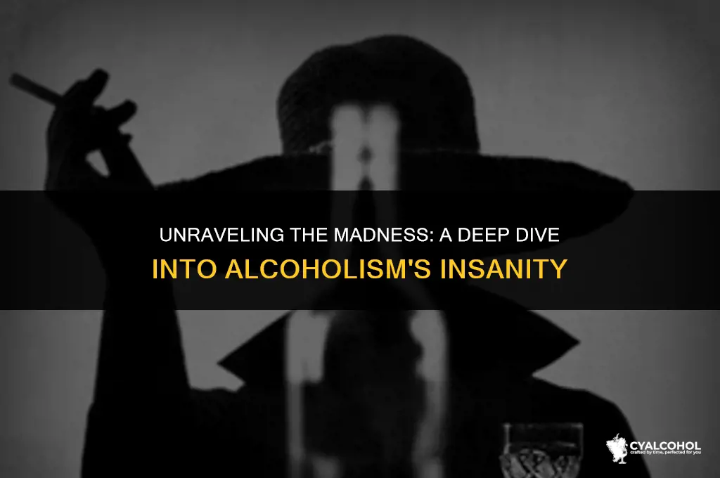 what is the insanity of alcoholism