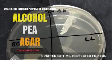 Phenylethyl Alcohol PEA Agar: Purpose and Applications